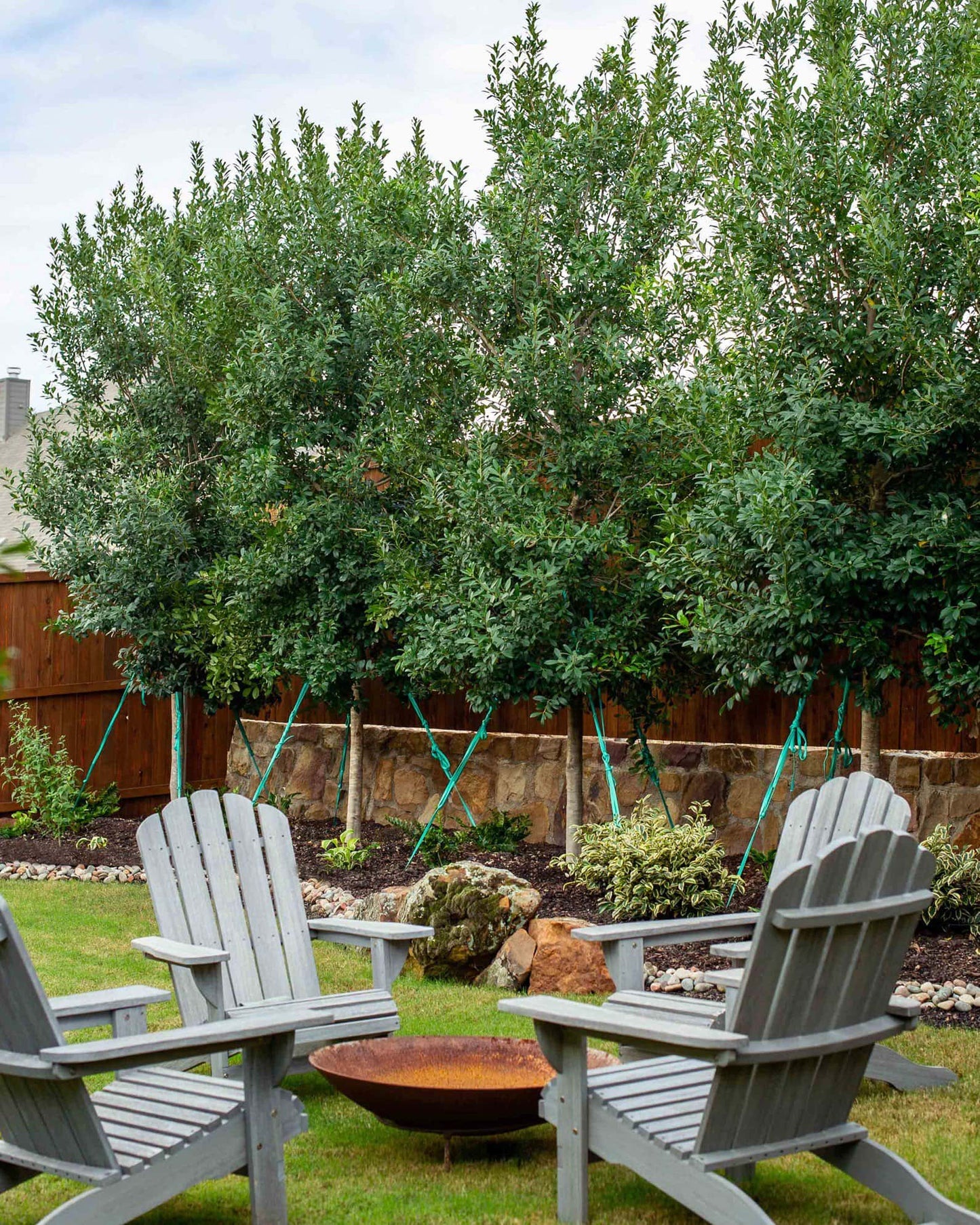 Holly Eagleston 30G-95G