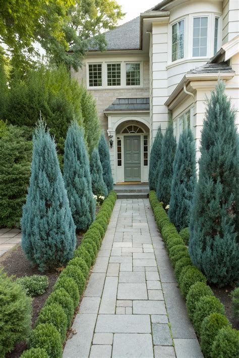 Juniper Blue Point 30G