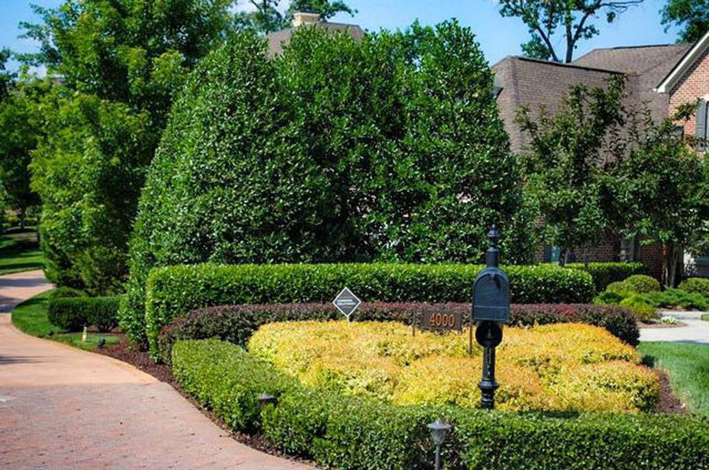 Holly Nellie R Stevens 30G-95G